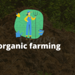 जैविक खेती क्या होती है (What is Organic Farming in Hindi)